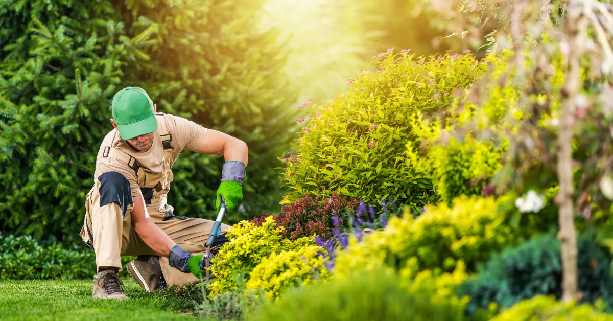 Yard Maintenance main | Definite Care
