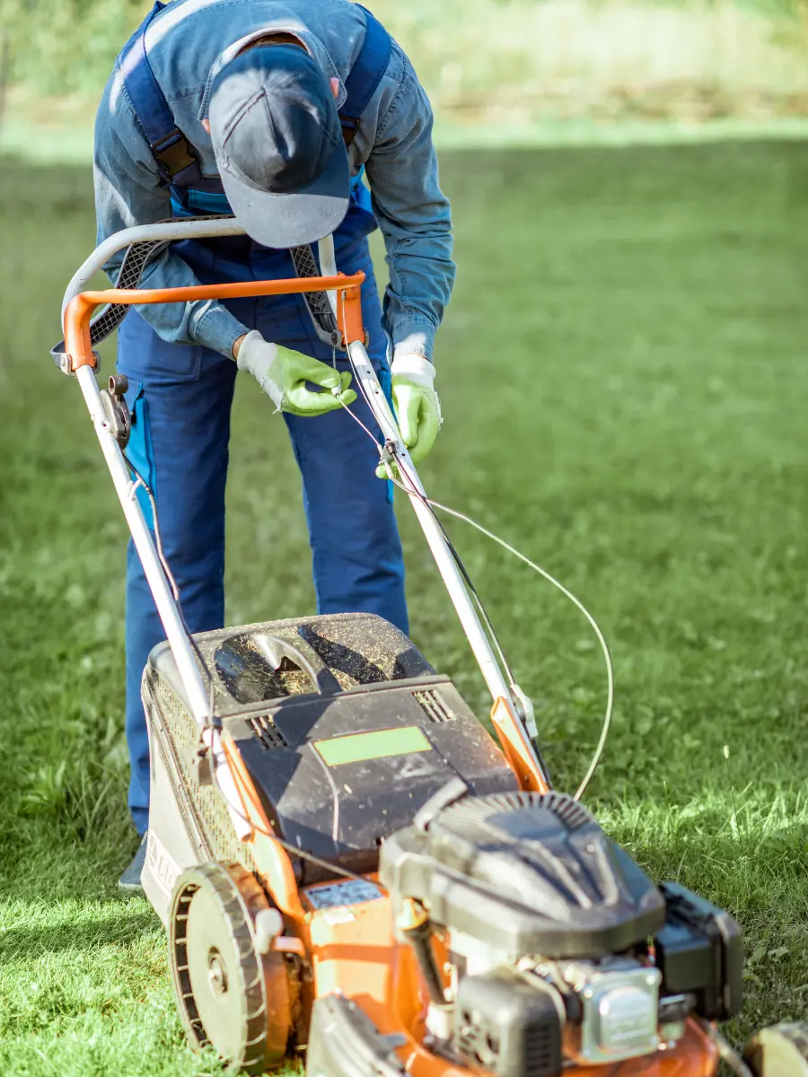 Yard Maintenance second | Definite Care
