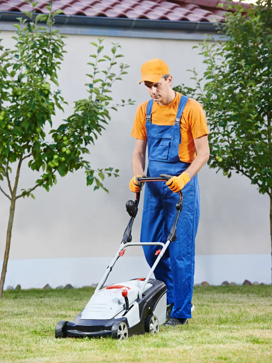 Yard Maintenance third | Definite Care